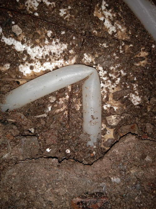 常山堵点精准查找